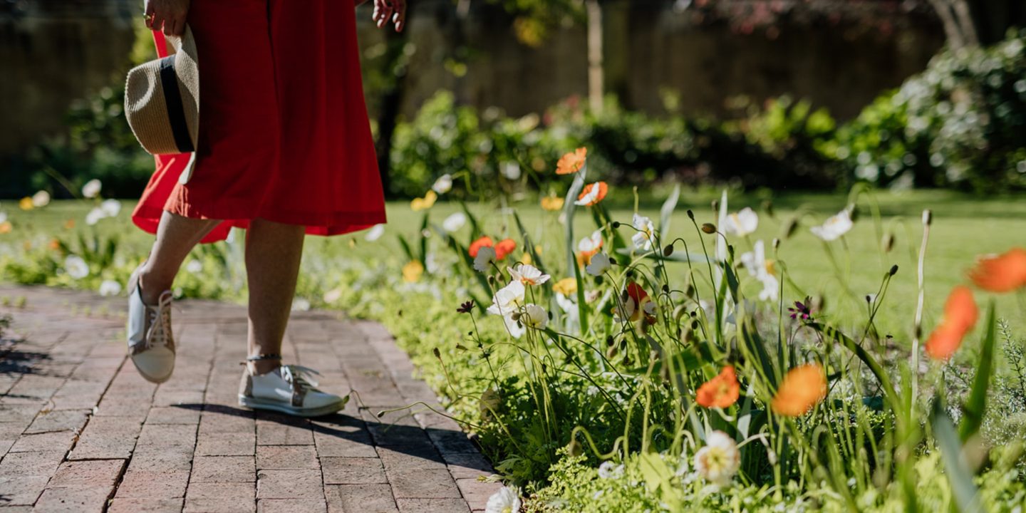 Vergelegen- Garden