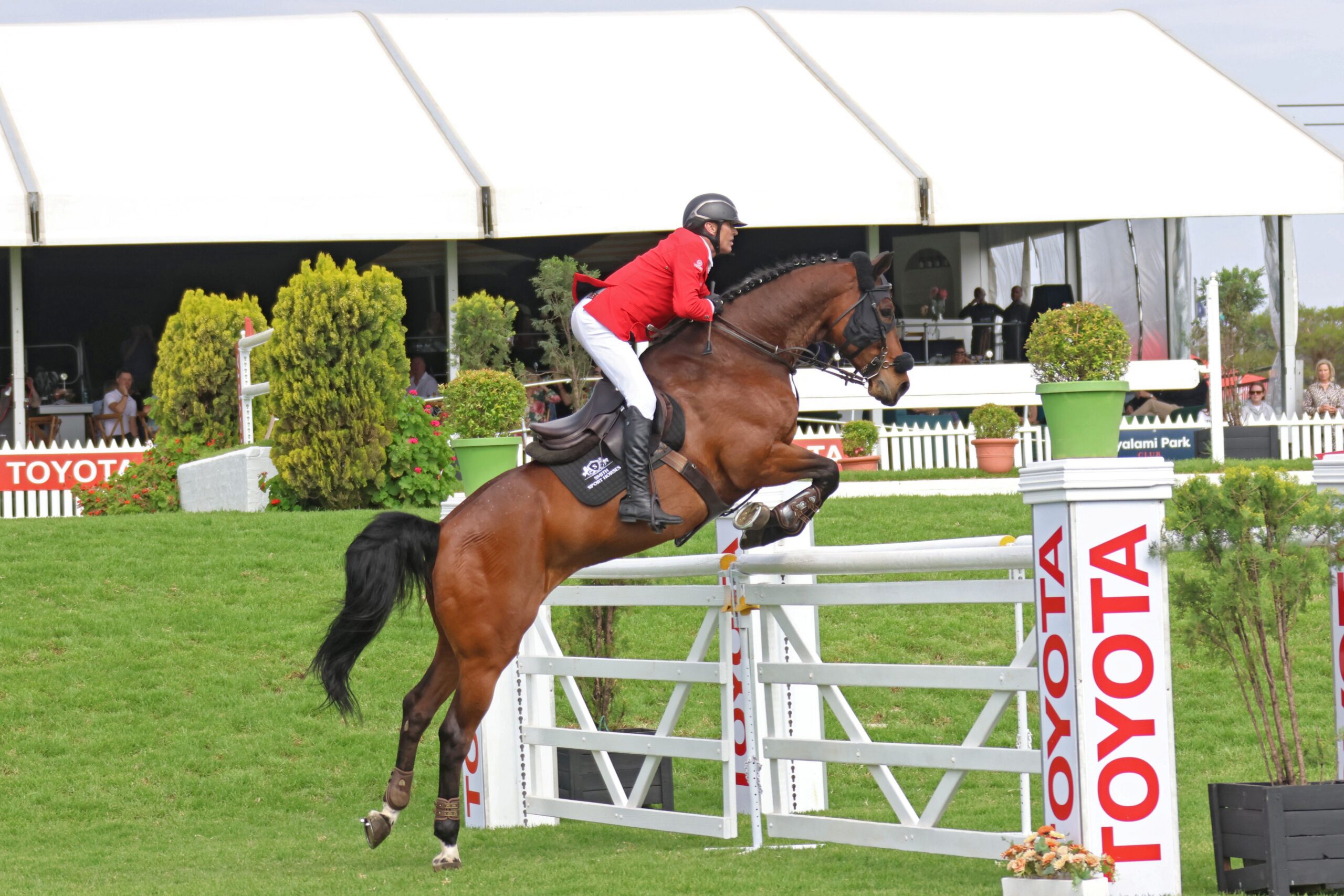 Dom Alexander - Toyota Equestrian Series